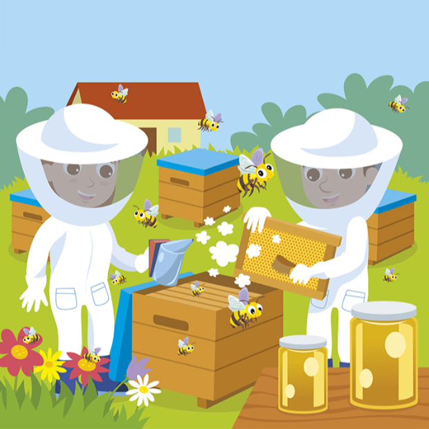 Bee farm